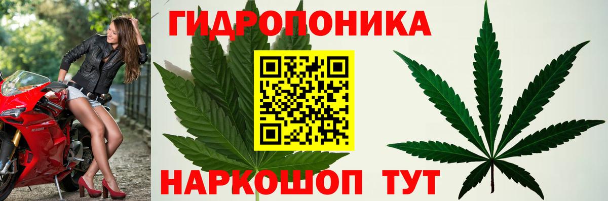 Канабис Ganja  Вход с VPN  МАРИХУАНА марихуана  Конопля VHQ  Бошки марихуана OG Kush  Северобайкальск 